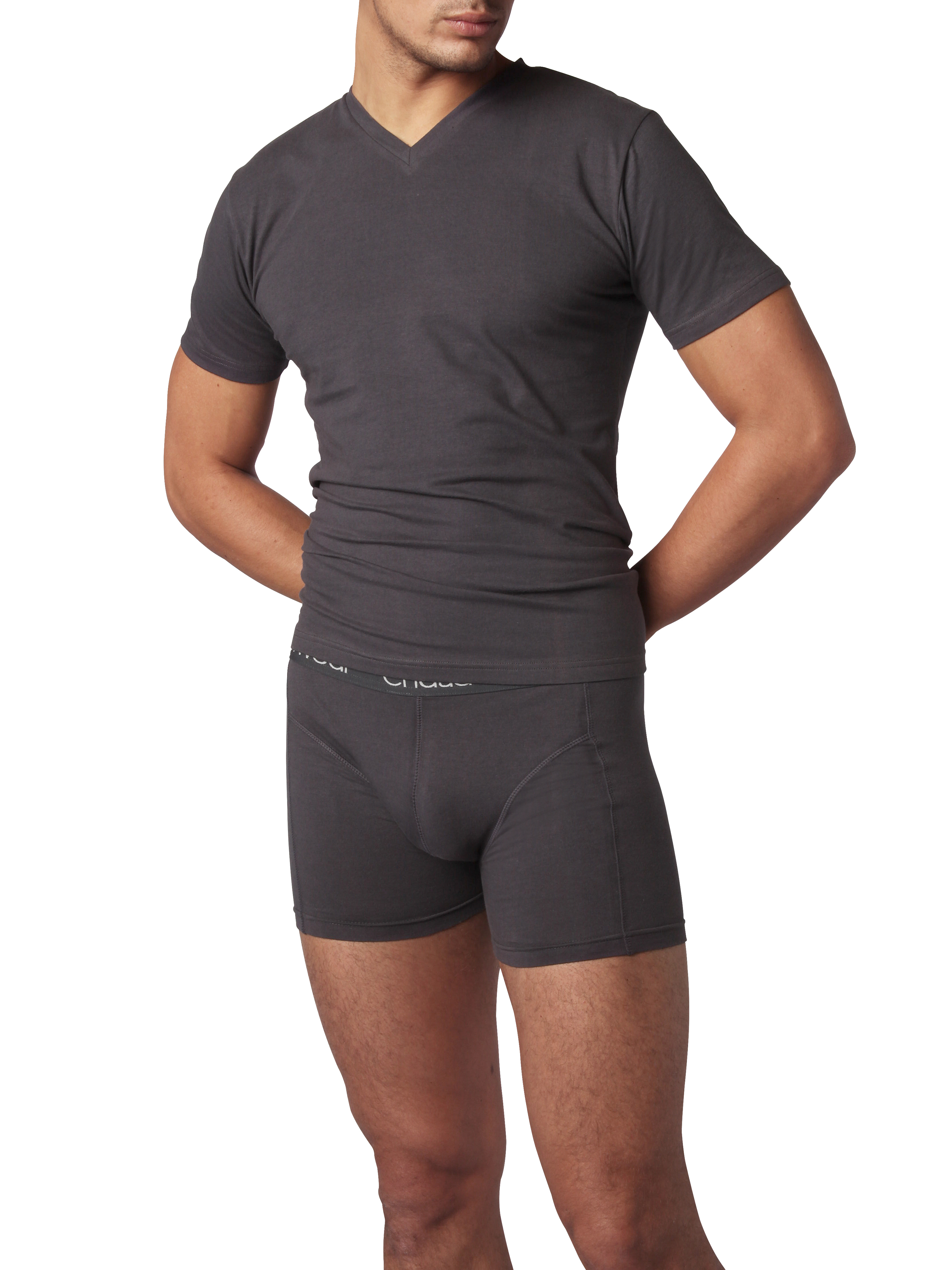 Underwear T-Shirt Grey